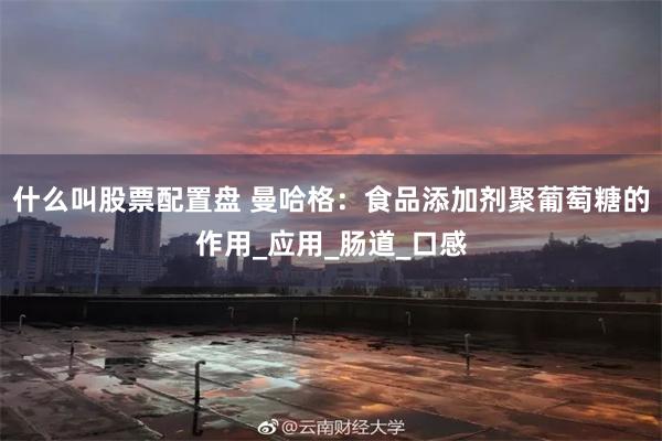 什么叫股票配置盘 曼哈格：食品添加剂聚葡萄糖的作用_应用_肠道_口感