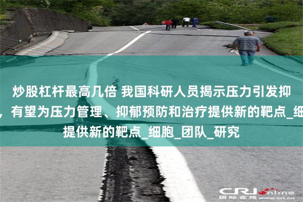 炒股杠杆最高几倍 我国科研人员揭示压力引发抑郁的神经机制，有望为压力管理、抑郁预防和治疗提供新的靶点_细胞_团队_研究