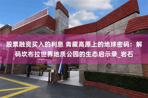 股票融资买入的利息 青藏高原上的地球密码：解码坎布拉世界地质公园的生态启示录_岩石