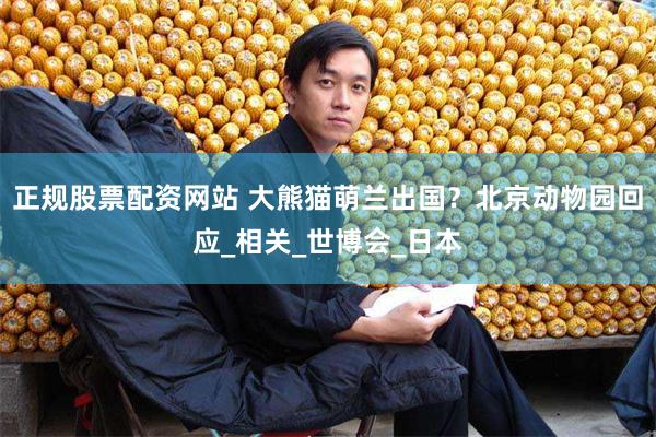 正规股票配资网站 大熊猫萌兰出国？北京动物园回应_相关_世博会_日本