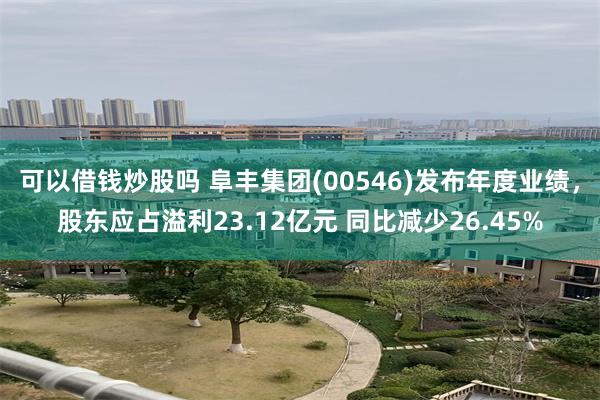 可以借钱炒股吗 阜丰集团(00546)发布年度业绩，股东应占溢利23.12亿元 同比减少26.45%