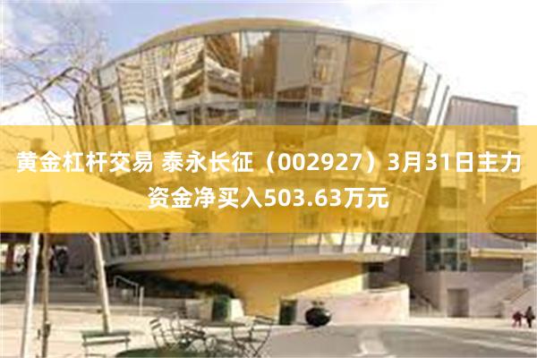 黄金杠杆交易 泰永长征（002927）3月31日主力资金净买入503.63万元