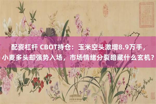 配资杠杆 CBOT持仓：玉米空头激增8.9万手，小麦多头却强势入场，市场情绪分裂暗藏什么玄机？