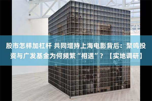 股市怎样加杠杆 共同增持上海电影背后：聚鸣投资与广发基金为何频繁“相遇”？【实地调研】