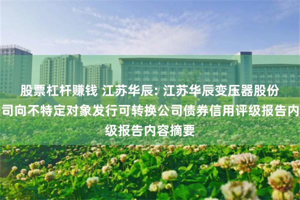 股票杠杆赚钱 江苏华辰: 江苏华辰变压器股份有限公司向不特定对象发行可转换公司债券信用评级报告内容摘要