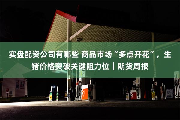 实盘配资公司有哪些 商品市场“多点开花”，生猪价格突破关键阻力位｜期货周报