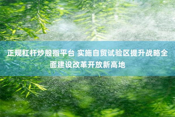 正规杠杆炒股指平台 实施自贸试验区提升战略全面建设改革开放新高地