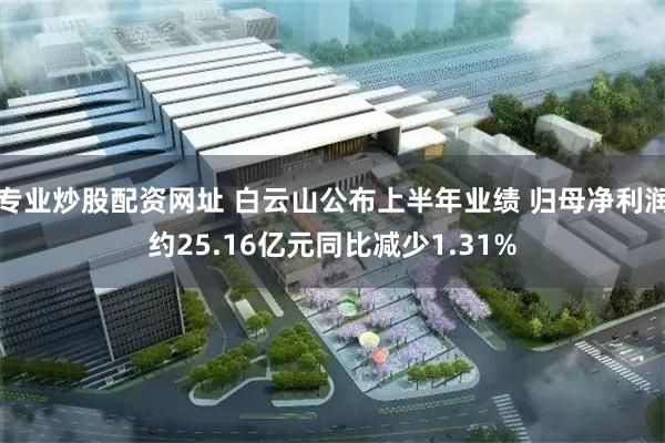 专业炒股配资网址 白云山公布上半年业绩 归母净利润约25.16亿元同比减少1.31%