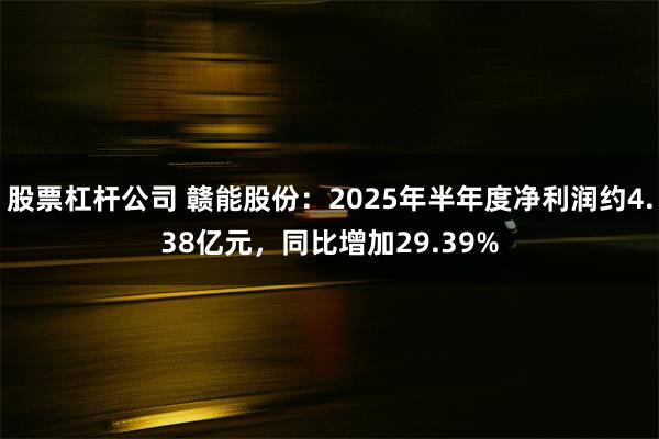 股票杠杆公司 赣能股份：2025年半年度净利润约4.38亿元，同比增加29.39%