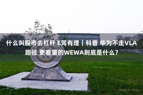 什么叫股市去杠杆 E驾有理｜科普 华为不走VLA路径 更看重的WEWA到底是什么？